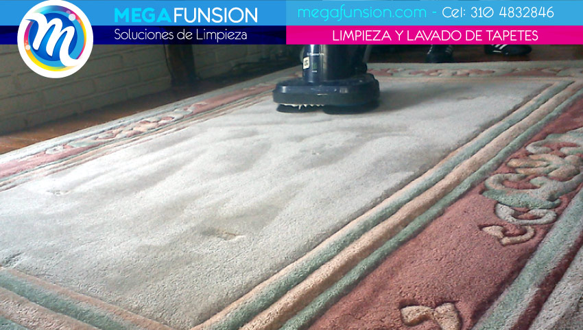 lavado de tapetes a domicilio