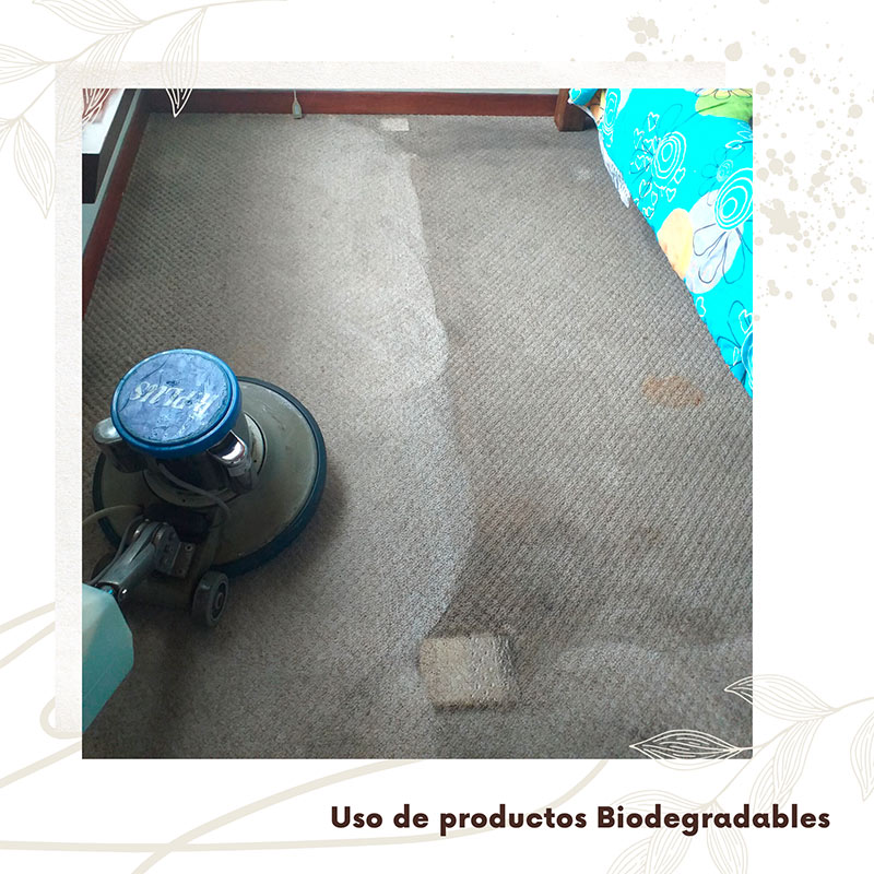 limpiamos cualquier tipo de alfombras en Cajicá