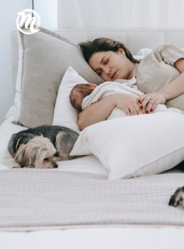 limpieza de sofás en Bogotá