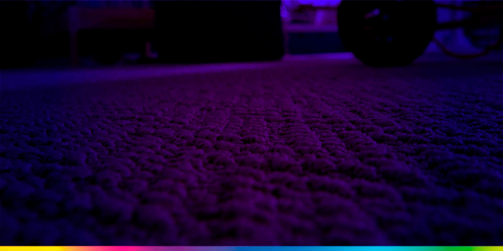 servicio de lavado y limpieza de alfombras en Bogota