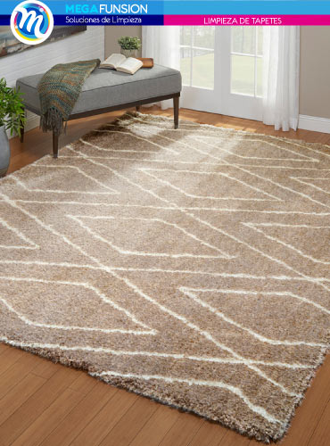 aseo y limpieza de tapetes en Colina Campestre