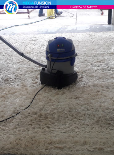 aseo y limpieza de tapetes en Colina Campestre