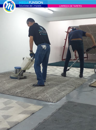 Lavado y limpieza de tapetes en Colina Campestre